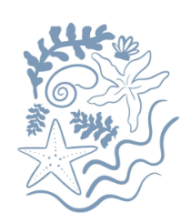 screenshot 2026 01 17 220125