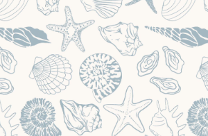 screenshot 2026 01 17 220131